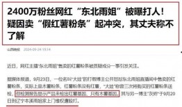 东北雨姐爆料事件视频播放,揭秘事件背后真相